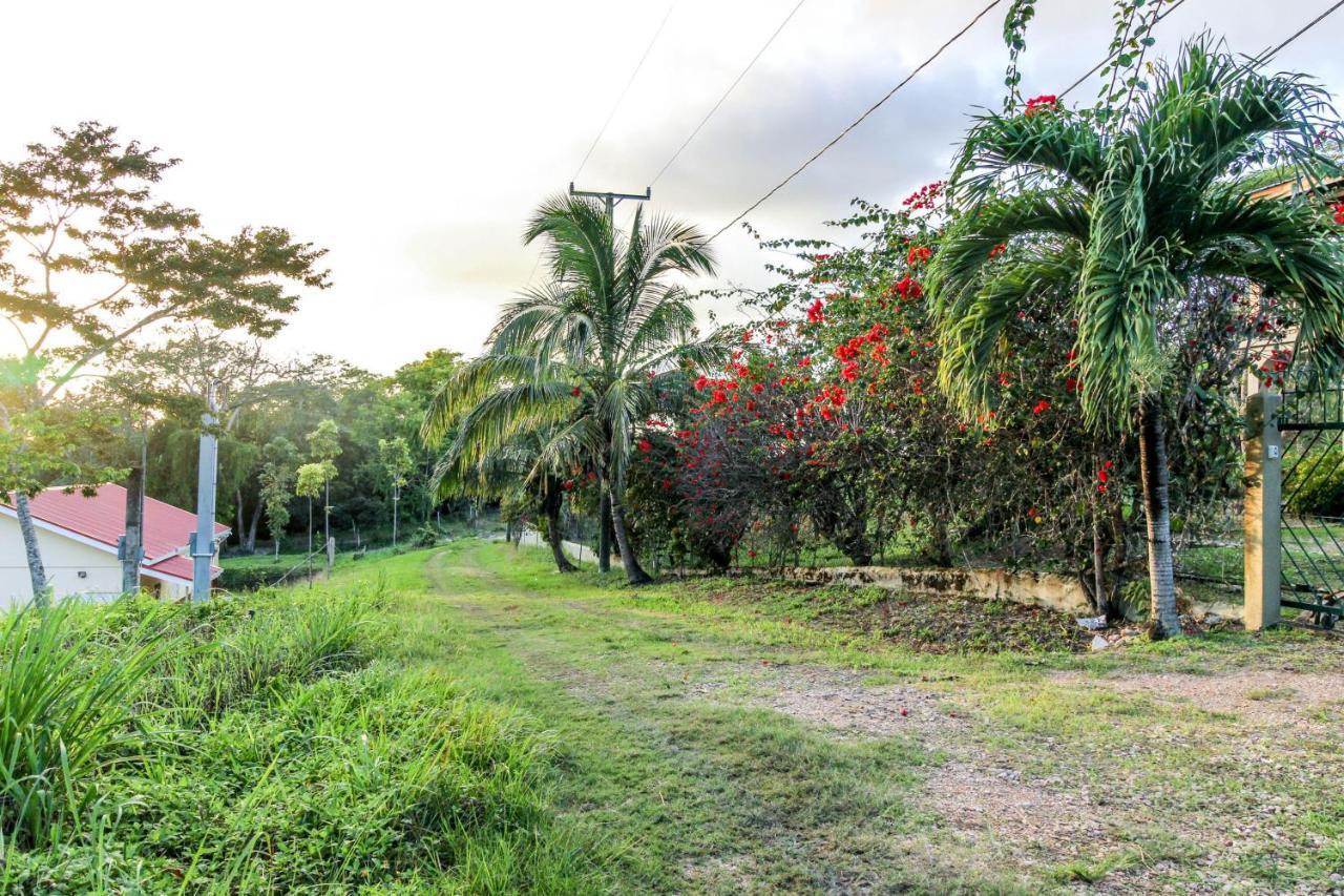 Villa Maya Gold Standard And Certified San Ignacio Exterior photo